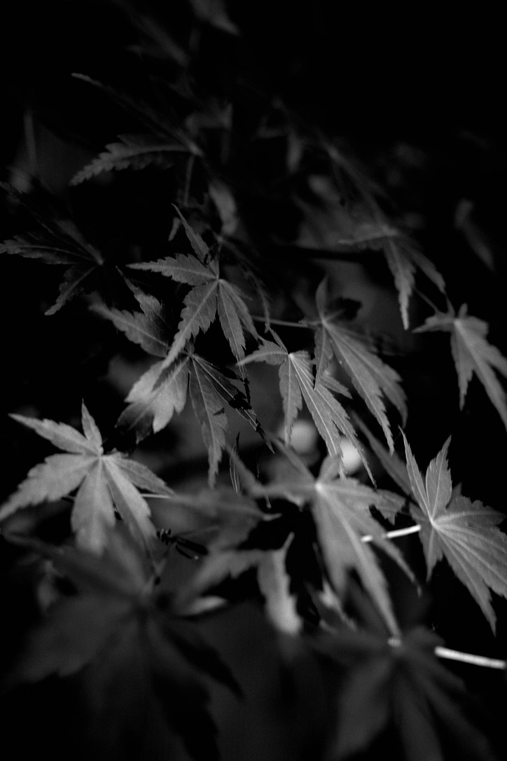 Tokyo Raw — photographie de rue noir et blanc, Tokyo, série 1031